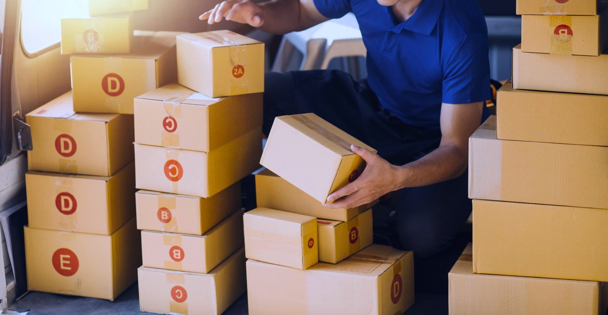 Franchise and wholesale networks